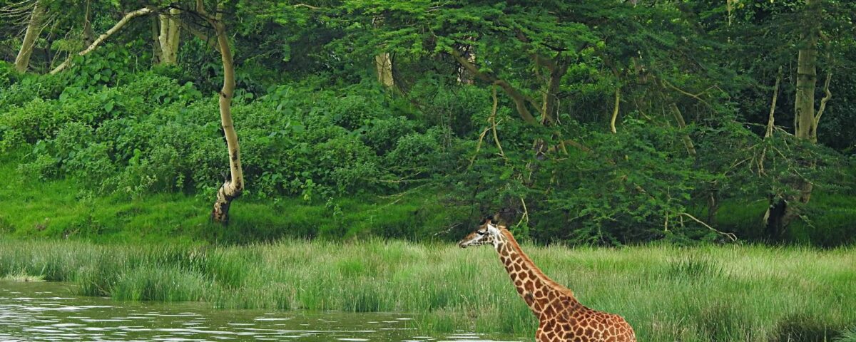 What are the Must-See Attractions in Arusha National Park?