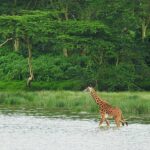 What are the Must-See Attractions in Arusha National Park?