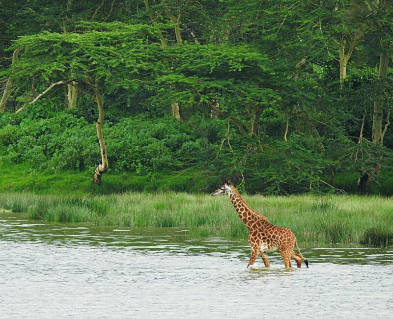What are the Must-See Attractions in Arusha National Park?