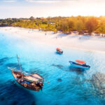 How Do I Plan a Day Trip to Tarangire from Arusha or Zanzibar?