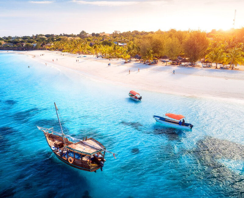 How Do I Plan a Day Trip to Tarangire from Arusha or Zanzibar?
