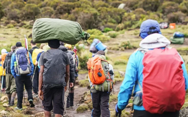 What Preparation is Needed for a Kilimanjaro Hike?