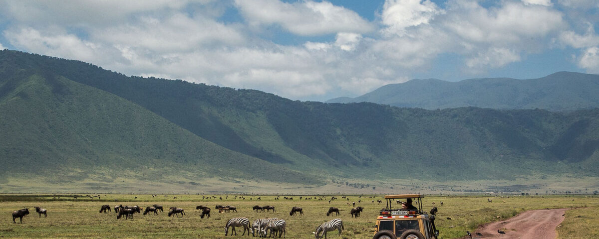 Are There Any Restrictions on Visiting Ngorongoro?