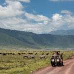 Are There Any Restrictions on Visiting Ngorongoro?