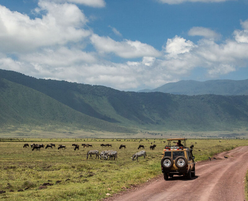 Are There Any Restrictions on Visiting Ngorongoro?