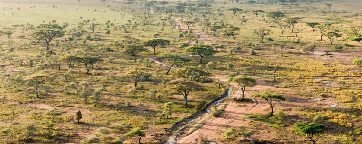 How Do I Get to Serengeti National Park?