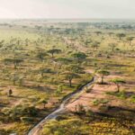 How Do I Get to Serengeti National Park?