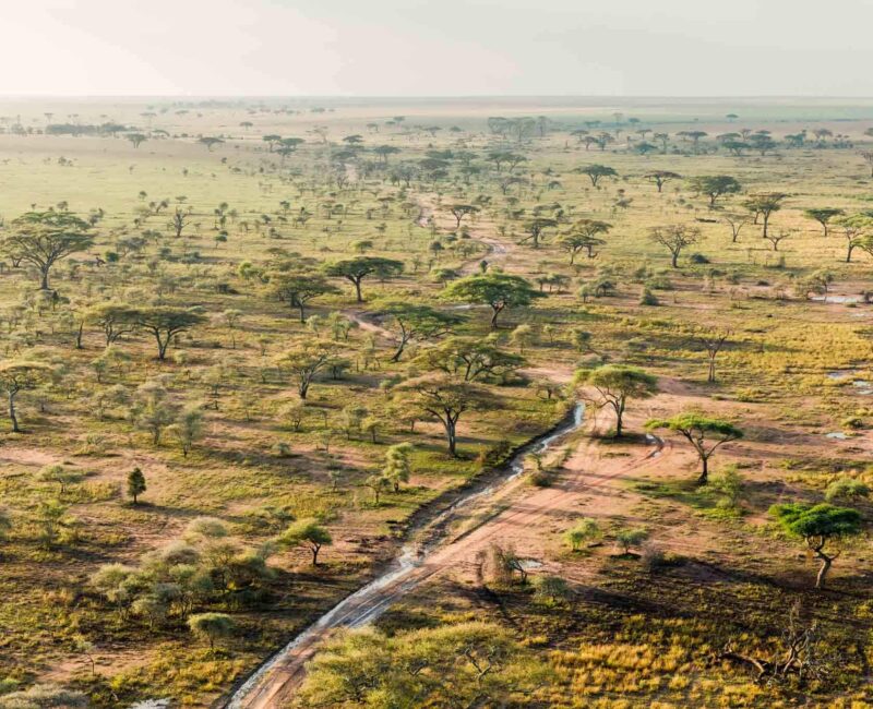 How Do I Get to Serengeti National Park?