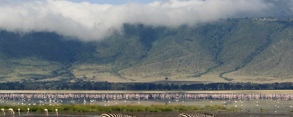 How Do I Get to Ngorongoro Conservation Area?