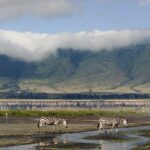 How Do I Get to Ngorongoro Conservation Area?
