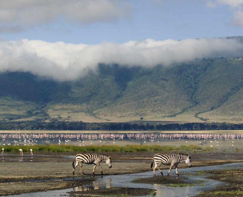 How Do I Get to Ngorongoro Conservation Area?