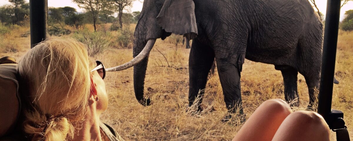 What’s the Best Time to Visit Tarangire for Large Elephant Sightings?