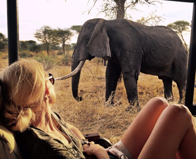 What’s the Best Time to Visit Tarangire for Large Elephant Sightings?