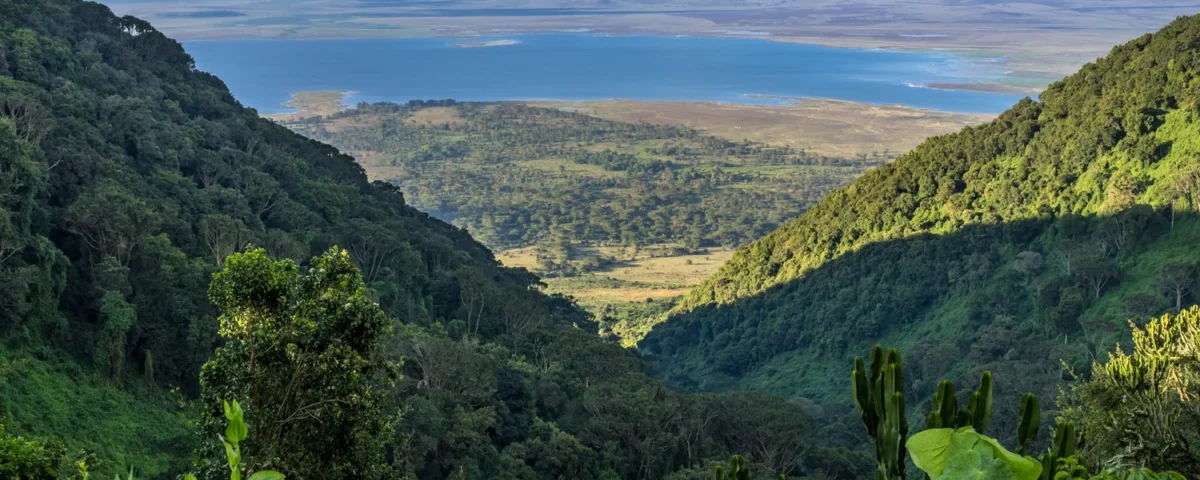 What Is the Best Time to Visit Ngorongoro Conservation Area?