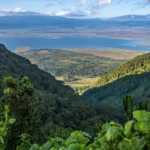 What Is the Best Time to Visit Ngorongoro Conservation Area?
