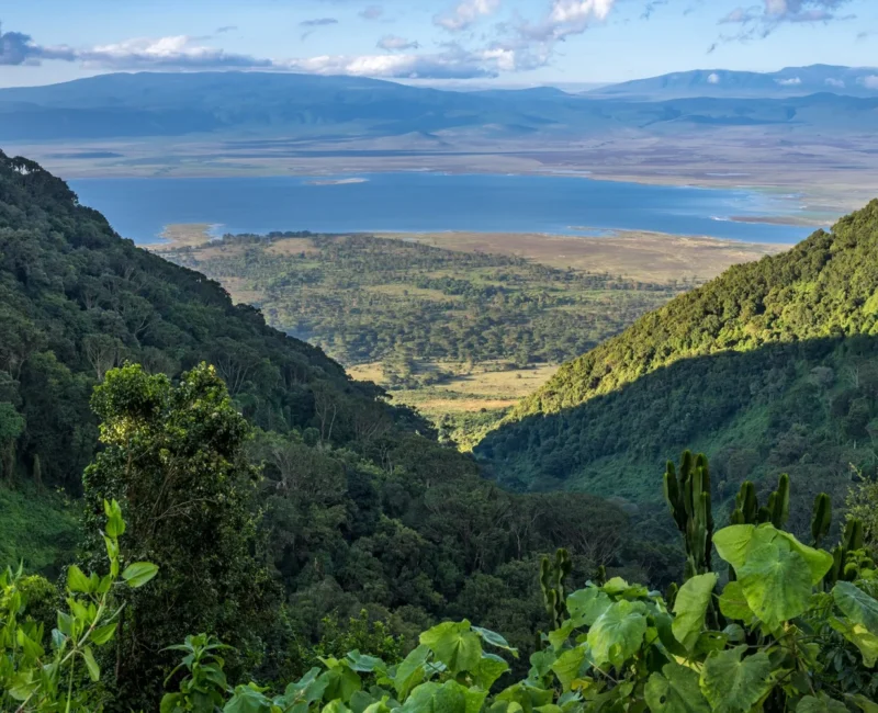 What Is the Best Time to Visit Ngorongoro Conservation Area?