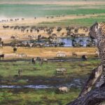 What Is the Ngorongoro Crater?