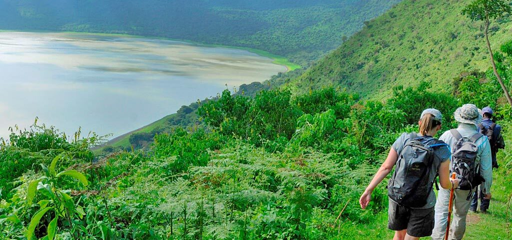 Are There Guided Tours Available in Ngorongoro?