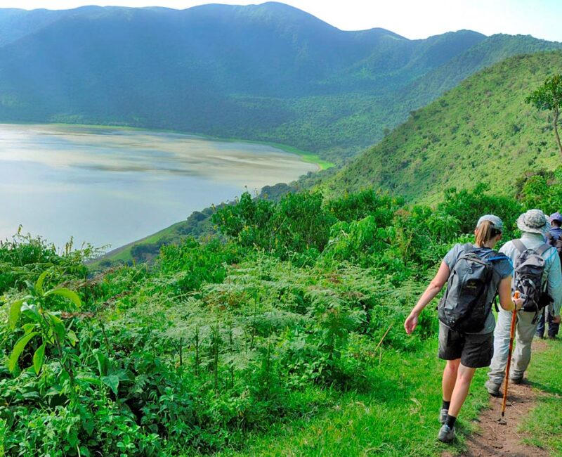 Are There Guided Tours Available in Ngorongoro?