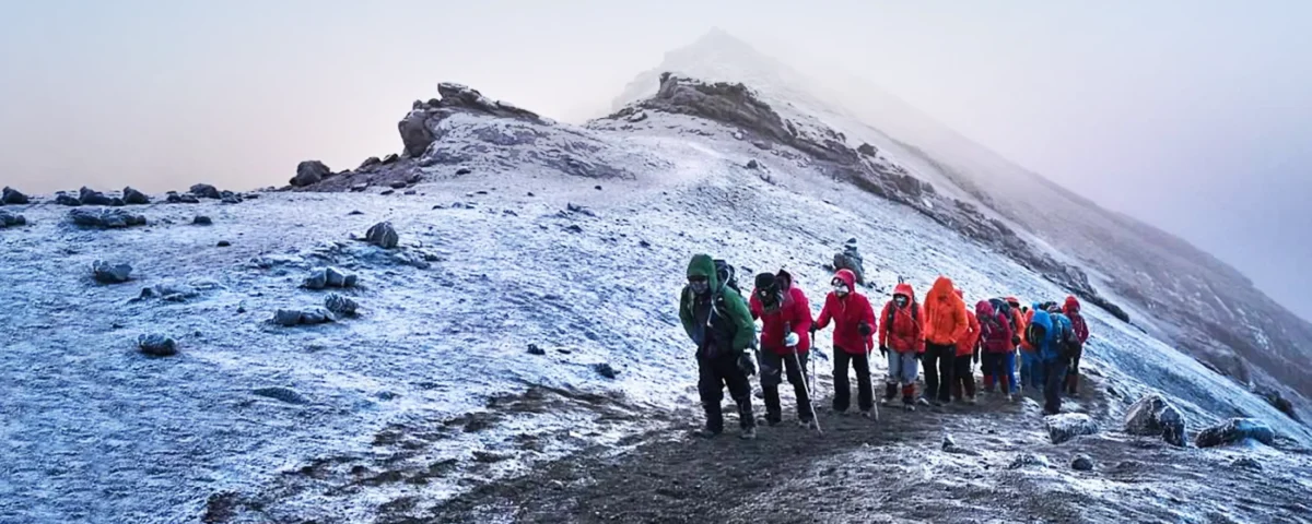 Can You Recommend a Guided Tour Operator for Kilimanjaro Climbs?