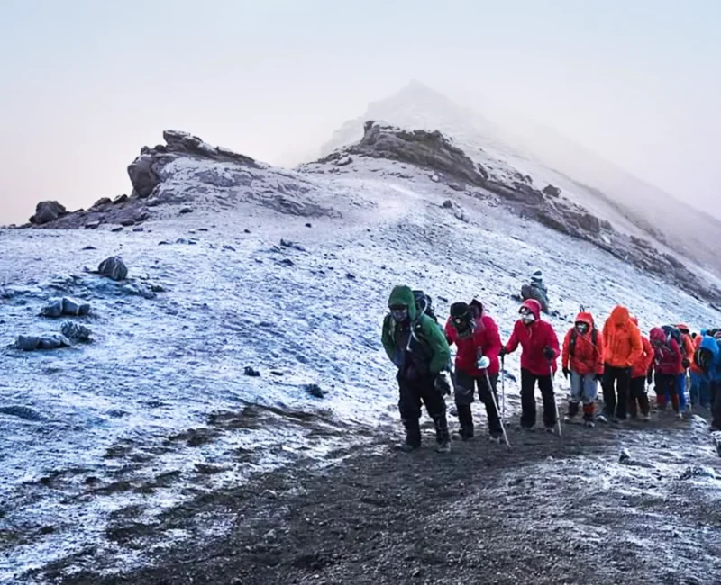 Can You Recommend a Guided Tour Operator for Kilimanjaro Climbs?