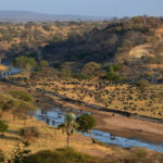 What's the Best Way to Experience Tarangire's Scenic Landscapes?
