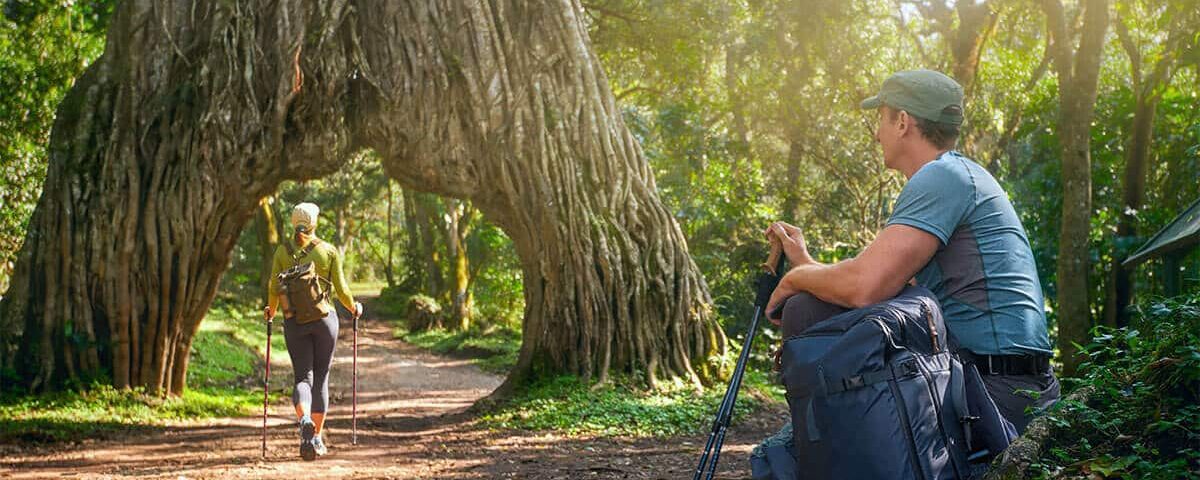 What is the Best Way to Experience Arusha National Park?