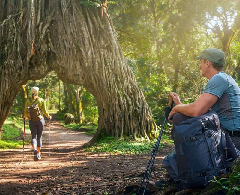 What is the Best Way to Experience Arusha National Park?