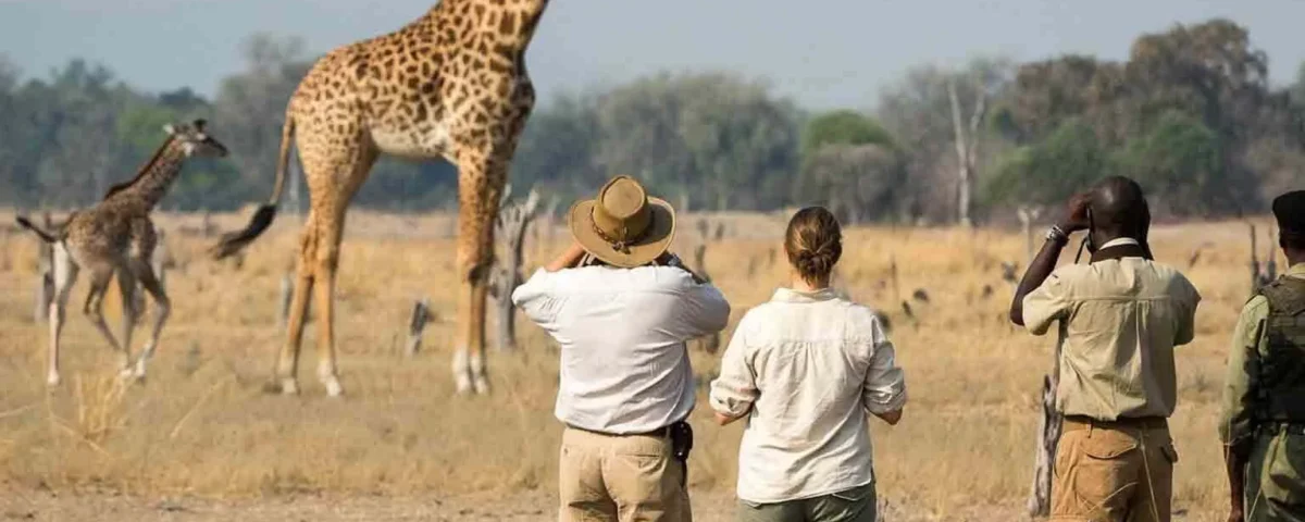 How Do I Get to Arusha National Park?