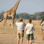 How Do I Get to Arusha National Park? 
