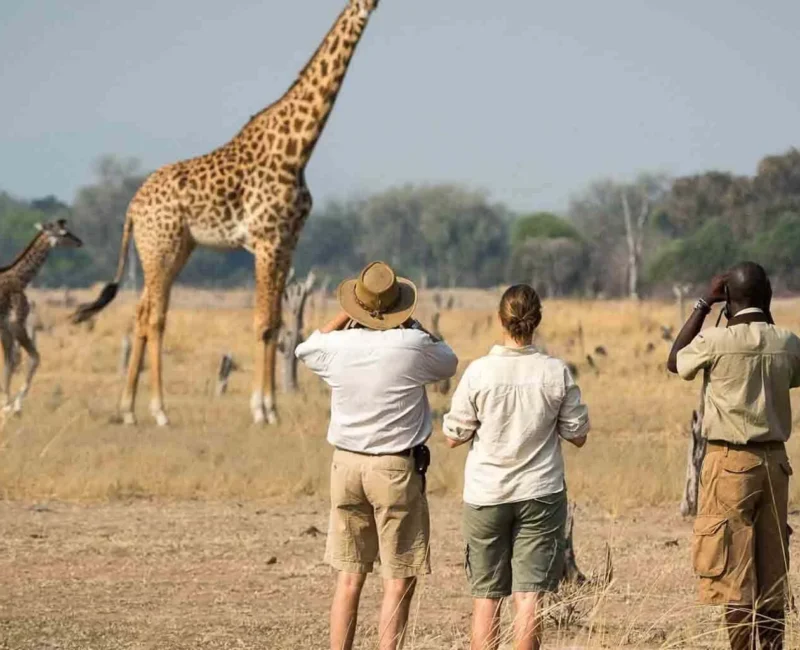 How Do I Get to Arusha National Park? 