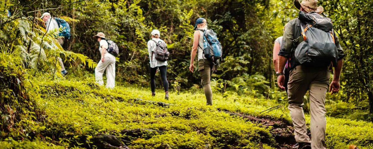 Can I Do a Day Hike in Arusha National Park?