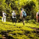 Can I Do a Day Hike in Arusha National Park?