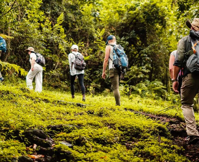 Can I Do a Day Hike in Arusha National Park?