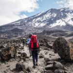 How Do I Plan a Kilimanjaro Climb With a Safari in Tanzania?