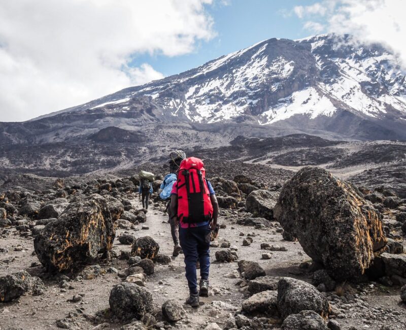How Do I Plan a Kilimanjaro Climb With a Safari in Tanzania?