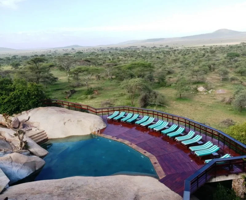 What Type of Accommodation Is Available in Serengeti?