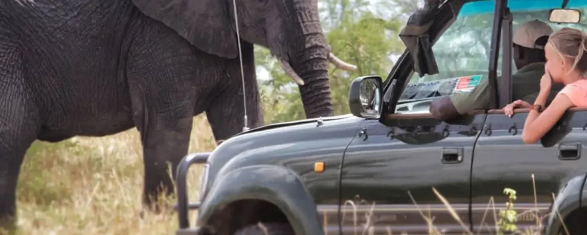 Are There Guided Tours Available in Serengeti?