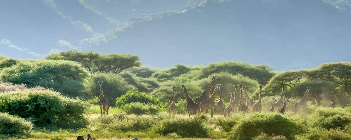What Is the Best Time to Visit Lake Manyara National Park?