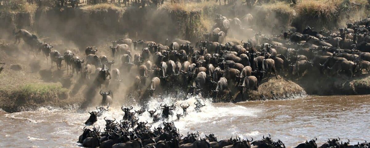 What Is the Best Time to Visit Serengeti for the Great Migration?