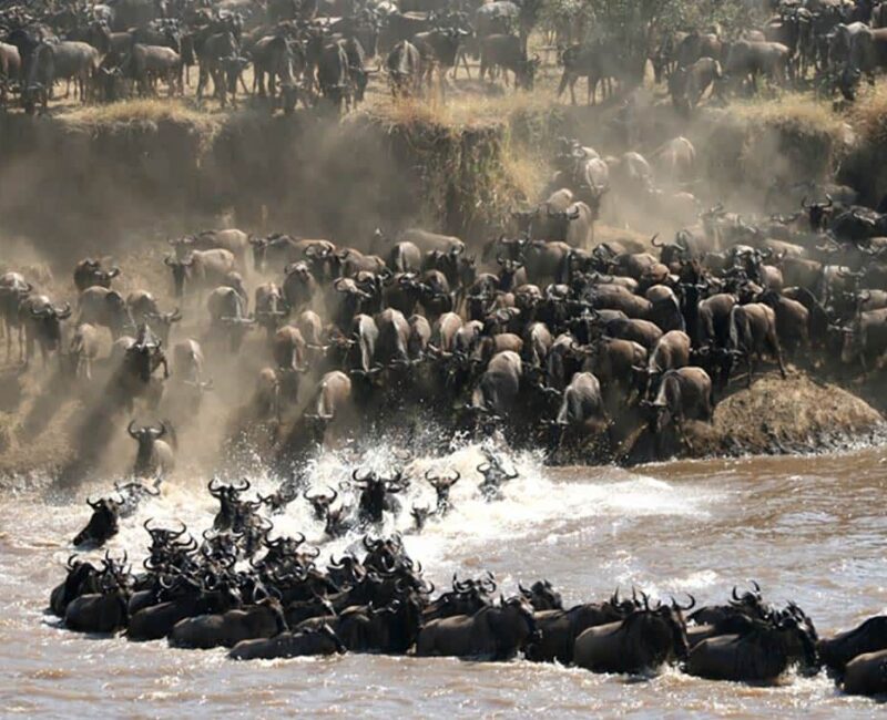 10-Day Tanzania & Rwanda Safari