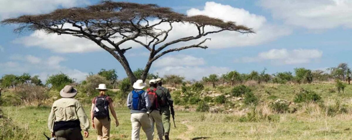 Are There Any Guided Hiking Trails Available in Ruaha National Park?