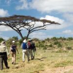 Are There Any Guided Hiking Trails Available in Ruaha National Park?