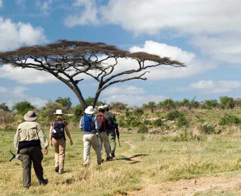 Are There Any Guided Hiking Trails Available in Ruaha National Park?