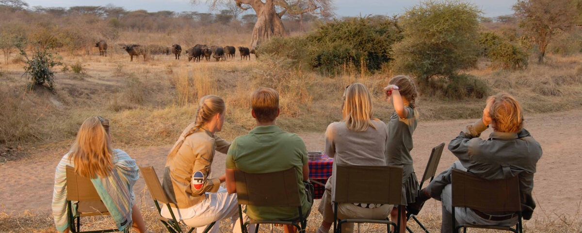 How Does Ruaha National Park Support Local Communities?