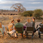 How Does Ruaha National Park Support Local Communities?