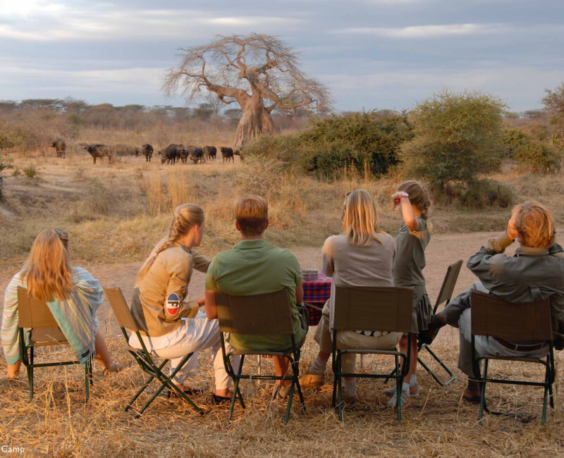 How Does Ruaha National Park Support Local Communities?