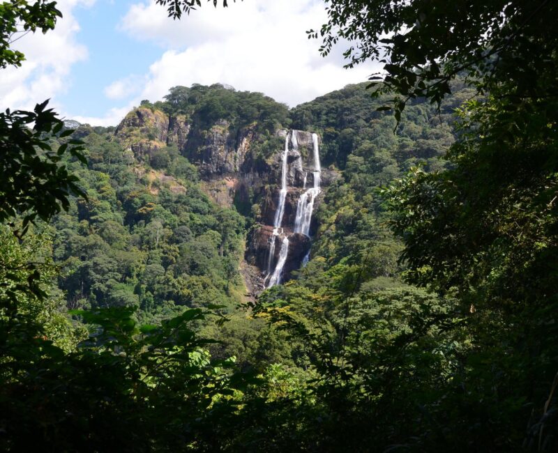 Can I Visit the Udzungwa Mountains Near Mikumi National Park?