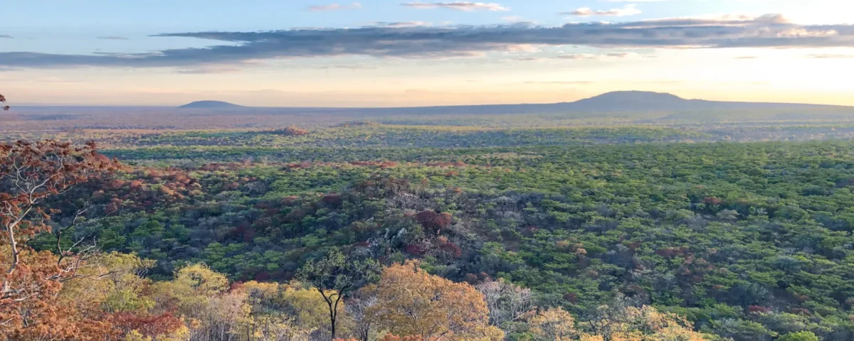 What's the Best Time to Visit Ruaha National Park for Wildlife Viewing?