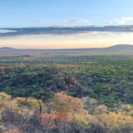 What's the Best Time to Visit Ruaha National Park for Wildlife Viewing?